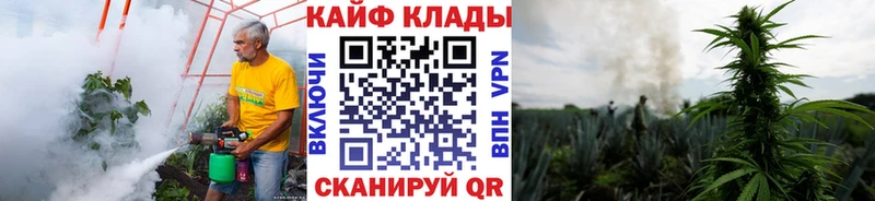Купить закладку Каннабис MDMA COCAIN Гашиш Меф мяу мяу Берёзовский