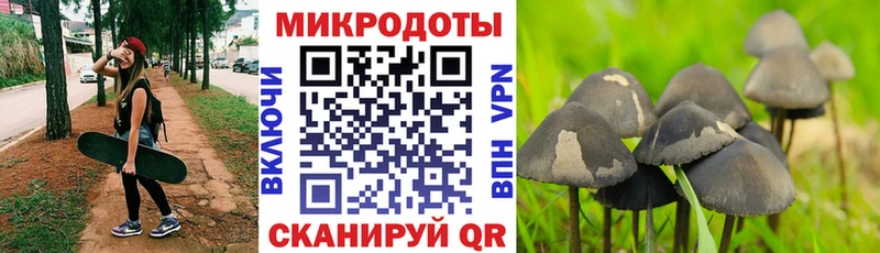 Купить где  Берёзовский  Псилоцибиновые грибы MAGIC MUSHROOMS 